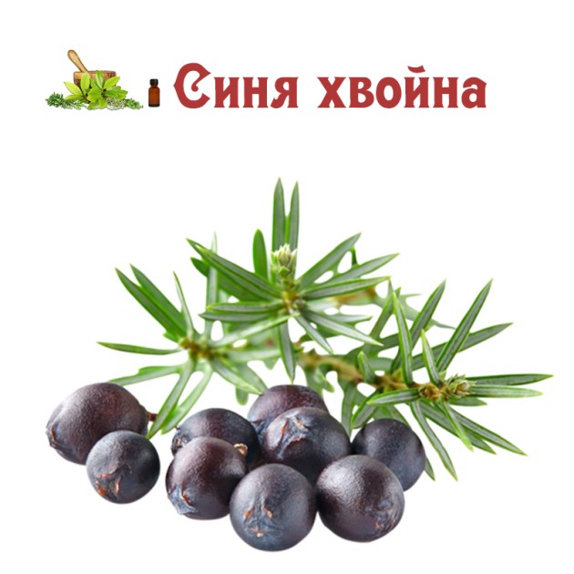 Тинктура Здрава простата, 100 мл