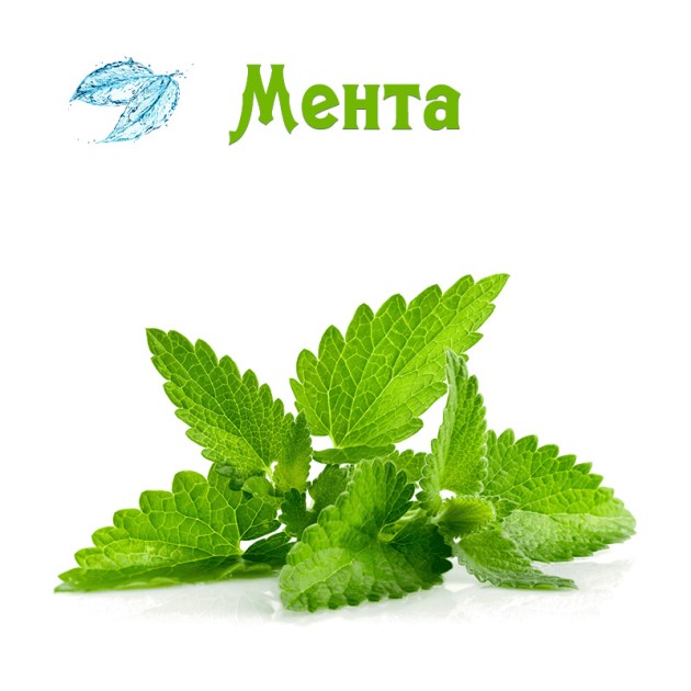 Флорална вода, Мента пиперита 200 мл